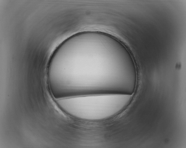 X0000112101517200908041100