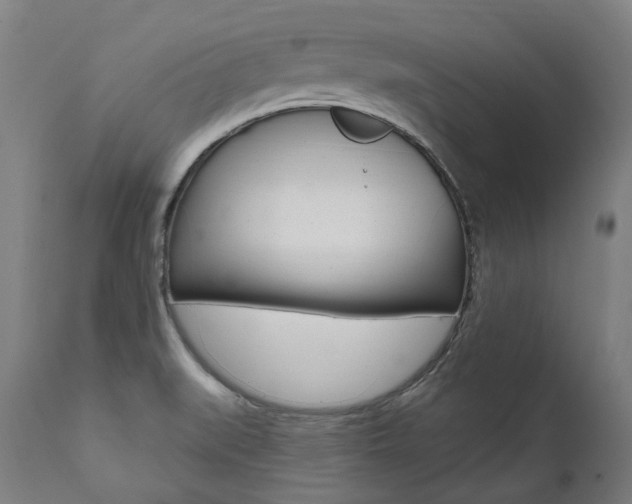 X0000112101519200908041100