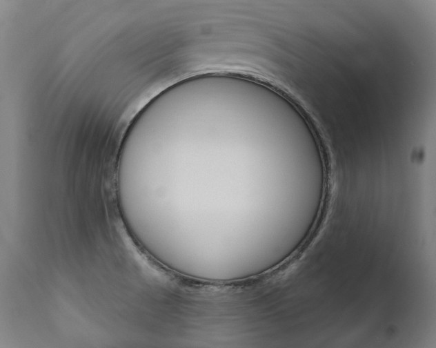 X0000112101521200908041100