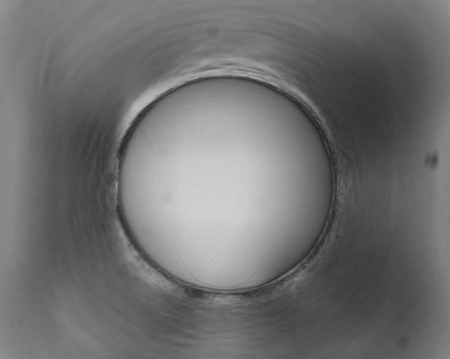 X0000112101522200908041100
