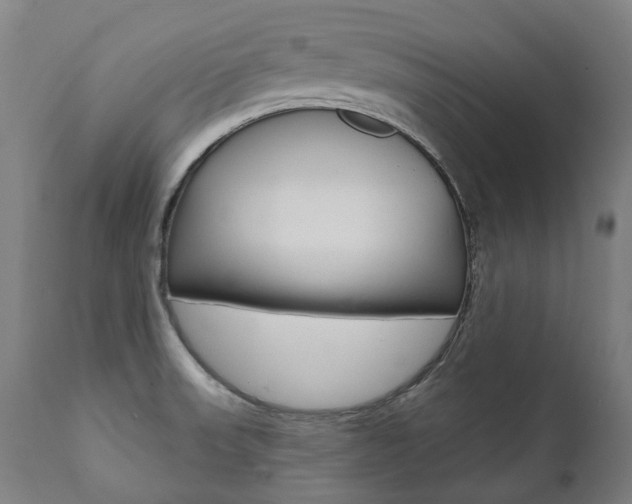 X0000112101523200908041100