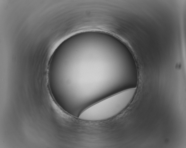 X0000112101524200908041100