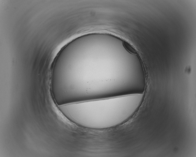X0000112101526200908041100