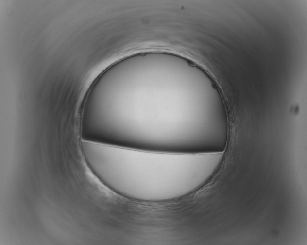 X0000112101527200908041100