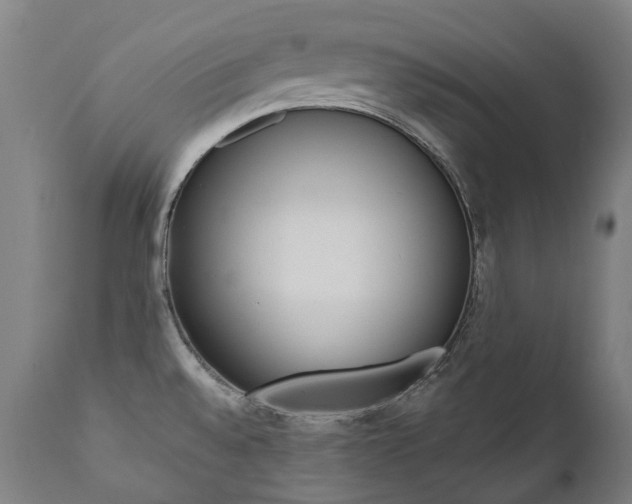 X0000112101528200908041100