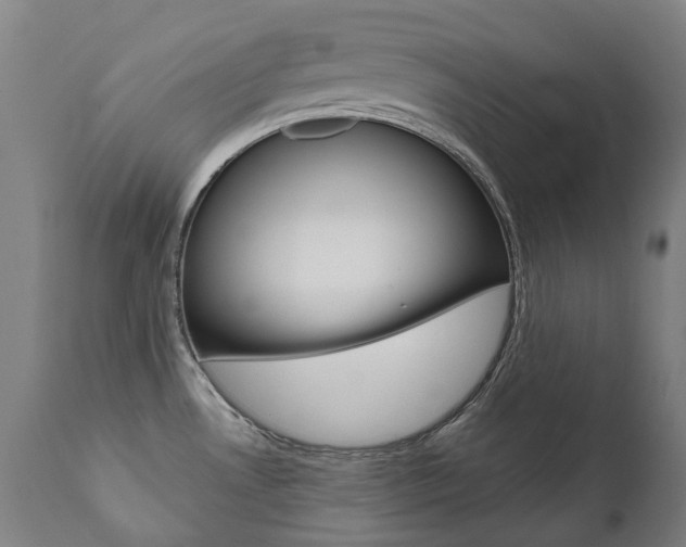 X0000112101530200908041100