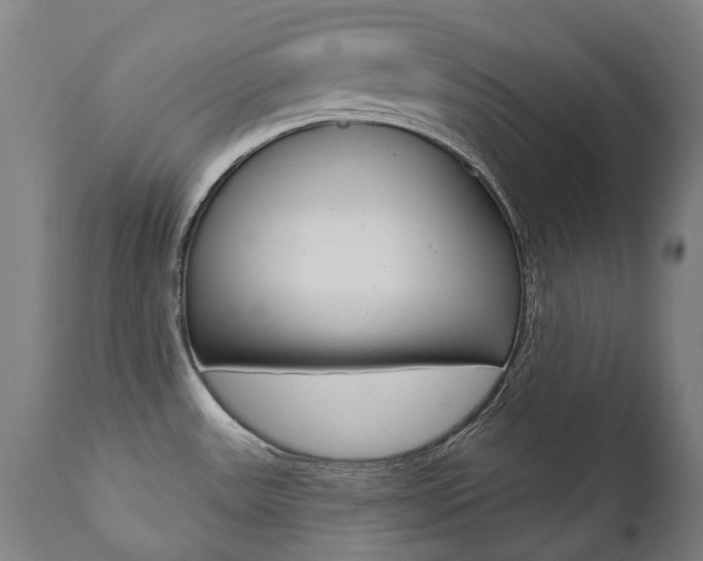 X0000112101531200908041100