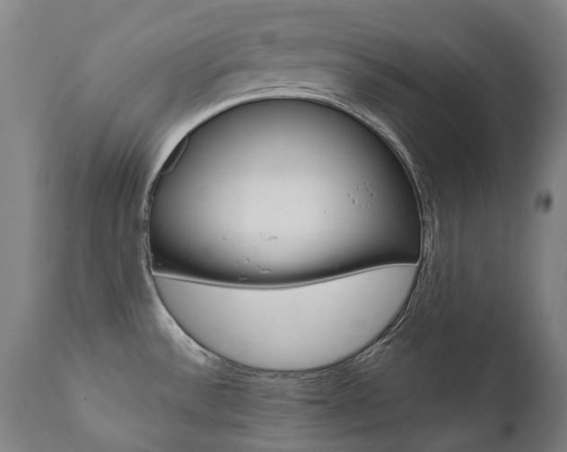 X0000112101532200908041100