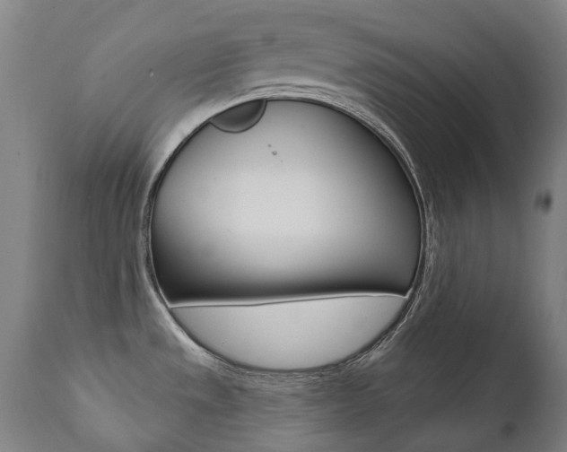 X0000112101533200908041100