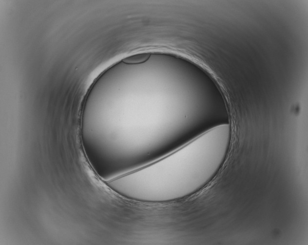 X0000112101534200908041100
