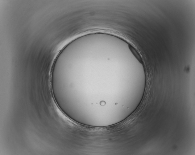 X0000112101535200908041100