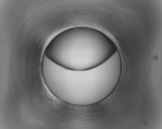 X0000112101536200908041101