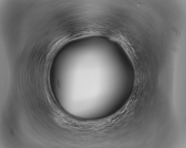 X0000112100001200908041521