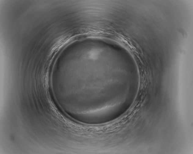 X0000112100002200908041521