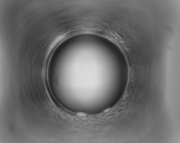 X0000112100003200908041521