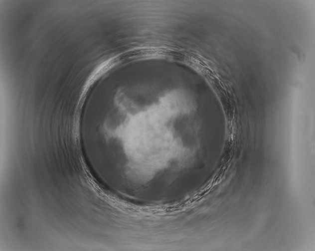 X0000112100004200908041521