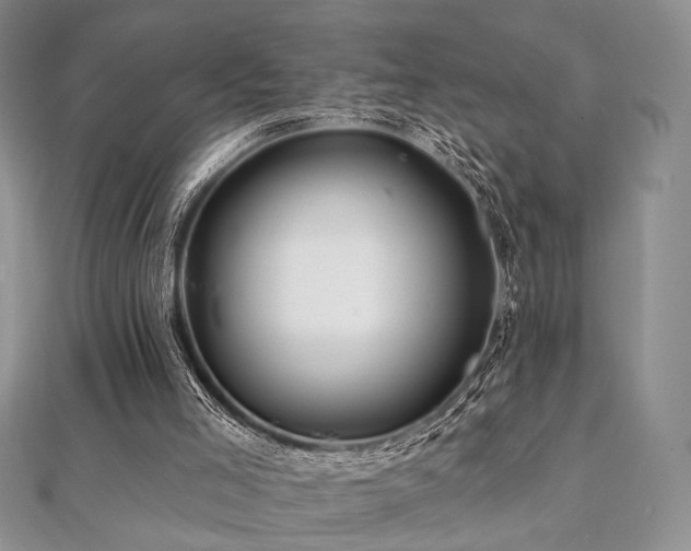 X0000112100005200908041521