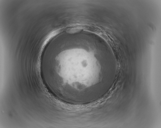 X0000112100006200908041521