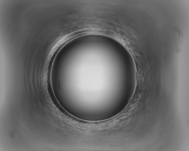 X0000112100007200908041521