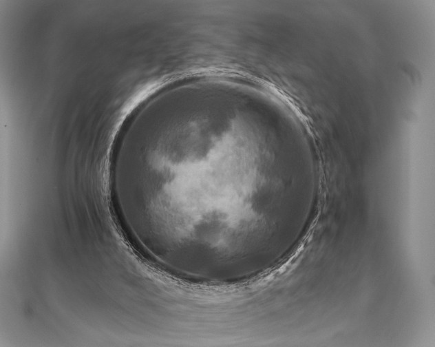 X0000112100008200908041521