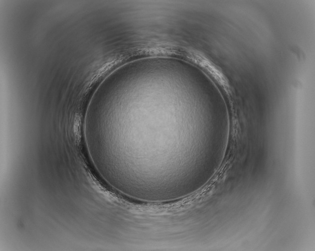 X0000112100009200908041521