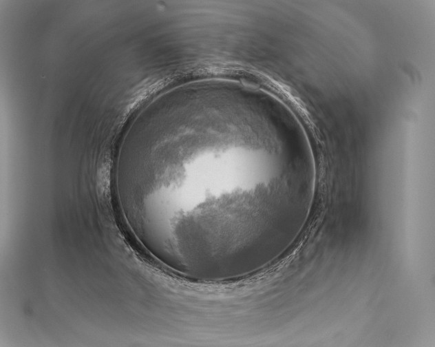 X0000112100010200908041521