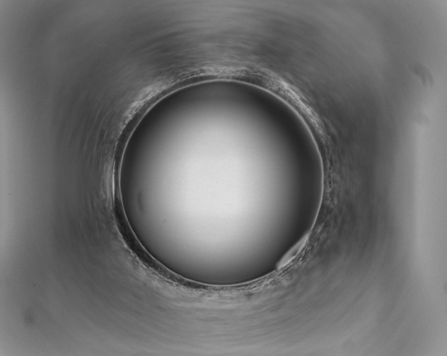 X0000112100011200908041521