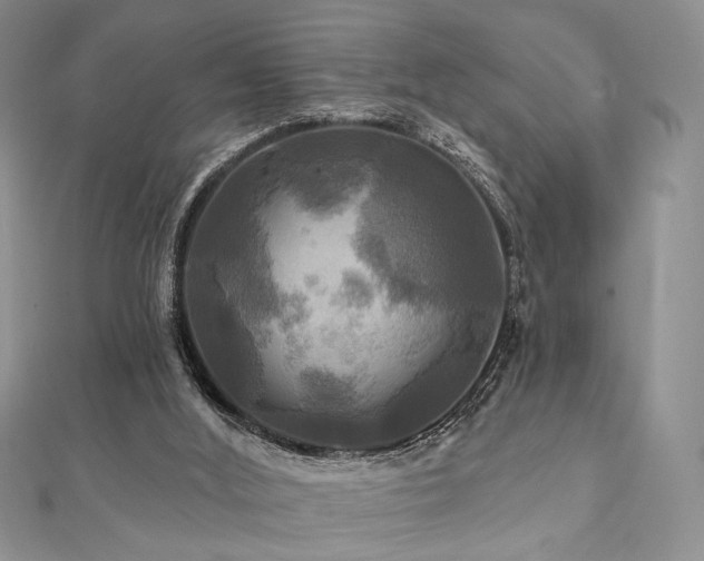 X0000112100012200908041521