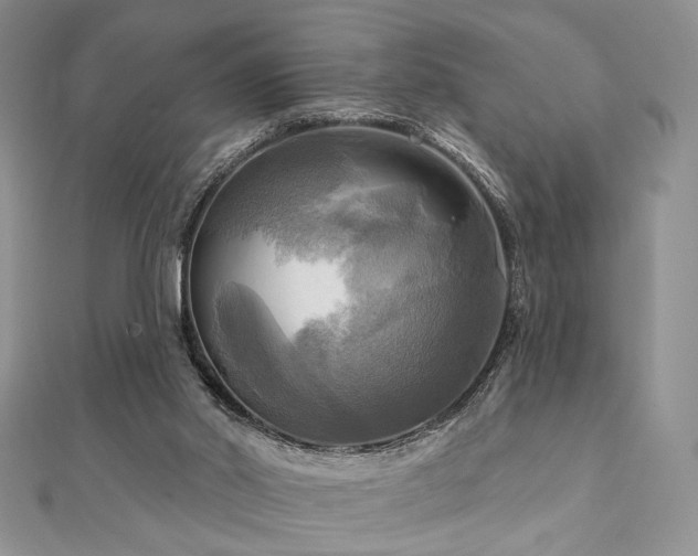 X0000112100014200908041521