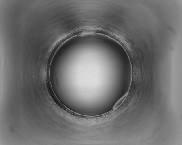 X0000112100015200908041520