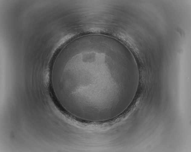 X0000112100016200908041520