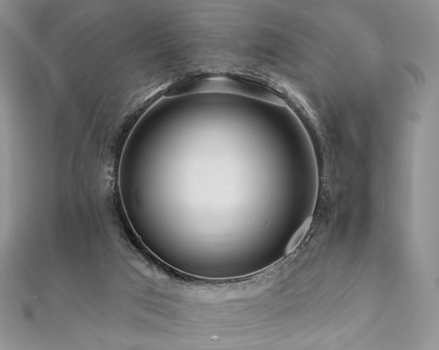 X0000112100017200908041520