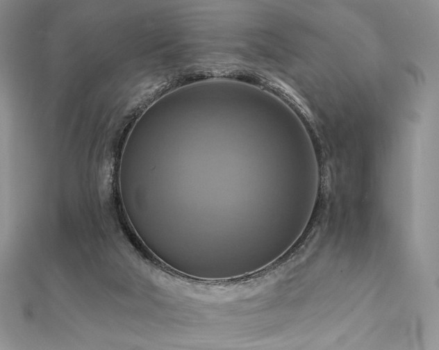 X0000112100018200908041520