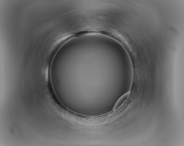X0000112100019200908041520