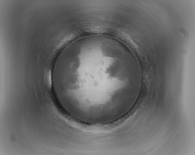 X0000112100020200908041520