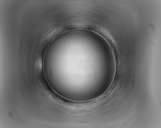 X0000112100021200908041520