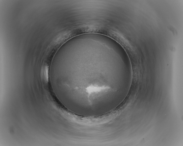 X0000112100022200908041520