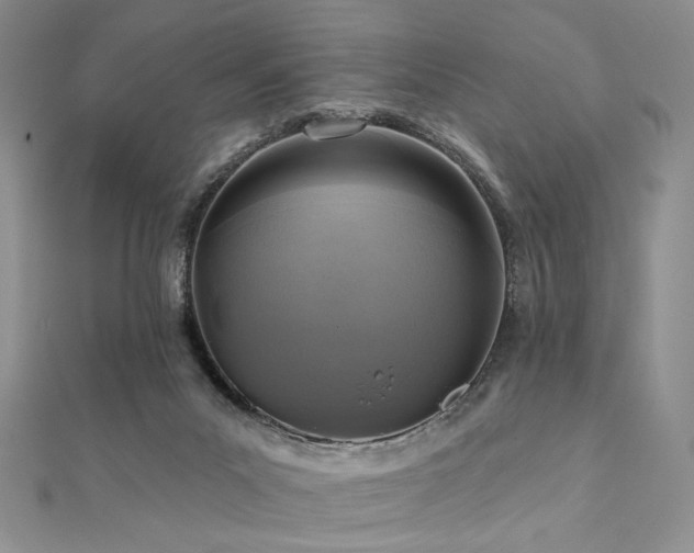 X0000112100023200908041520