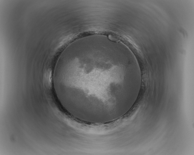 X0000112100024200908041520