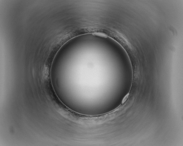 X0000112100025200908041520