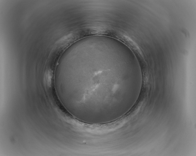 X0000112100026200908041520