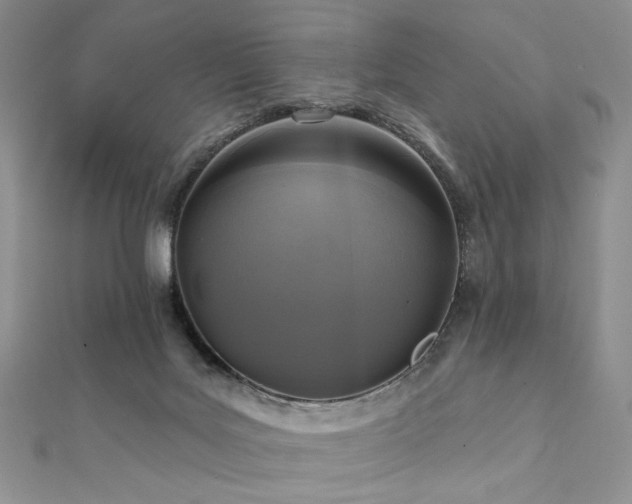 X0000112100027200908041520