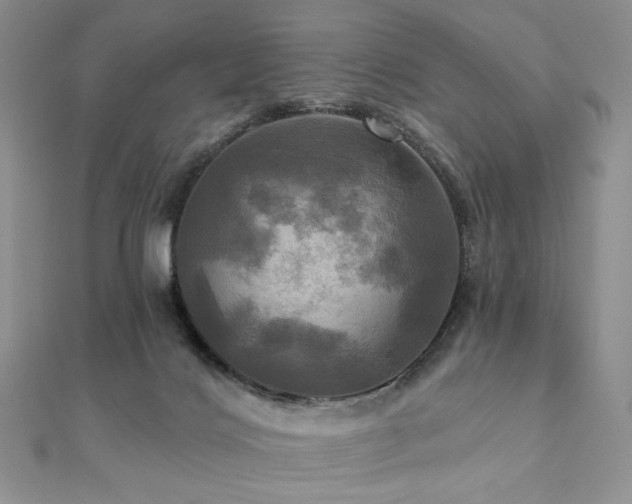 X0000112100028200908041520