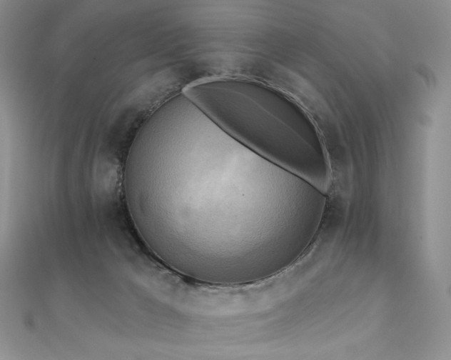 X0000112100029200908041520