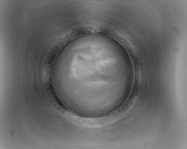 X0000112100030200908041520
