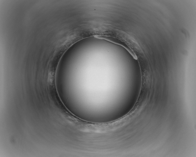 X0000112100033200908041520
