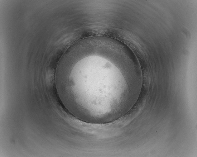 X0000112100034200908041520