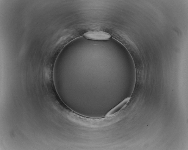 X0000112100035200908041520