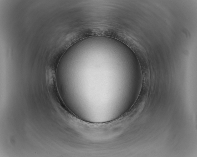 X0000112100038200908041520