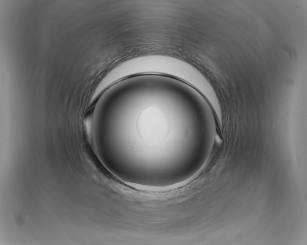 X0000112100039200908041520